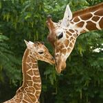 Profile Picture of Paula Jackson (@paulafreedmanjackson) on Instagram