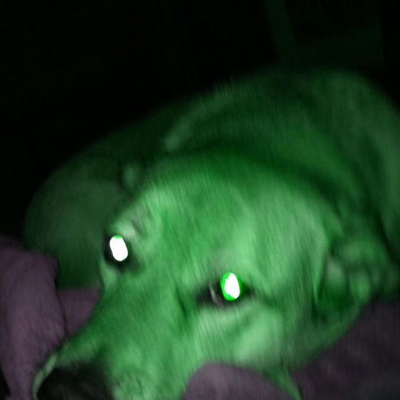 Profile Picture of Amanda Pass (@amandapass442) on Poshmark