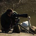 Michael Steinhäuser - Instagram Profile Picture of Michael Steinhäuser (@michael_naturfotografie) on Instagram