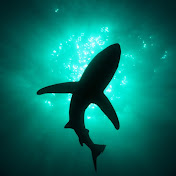 Profile Picture of Chase Olson (@chaseolson7454) on Youtube