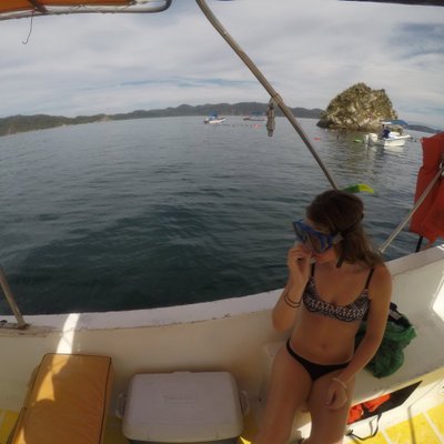 Profile Picture of Al (@Ally_Weber6) on Twitter