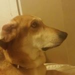 Profile Picture of Joseph Tallmadge (@jtallmadgejr) on Instagram