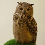 Profile Picture of Paul Beardmore (@beardmore.paul) on Instagram