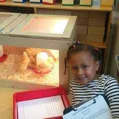 Profile Picture of Richard Cohen (@richard.cohen06) on Tiktok