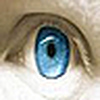 Profile Picture of Tony Miles (@Tony Miles) on Flickr