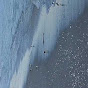 Profile Picture of SilverVulpine (@@SilverVulpine) on Tiktok