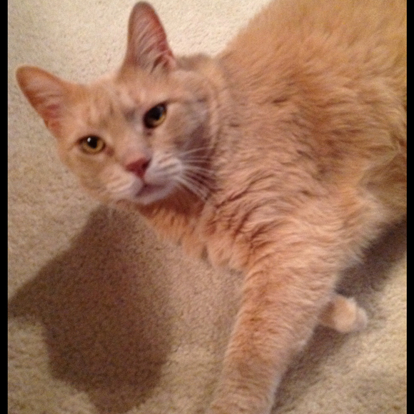 Lisa Elander - Poshmark Profile Picture of Lisa Elander (@lelander) on Poshmark