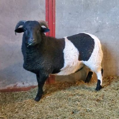 Profile Picture of Casey Curbow (@nyCasey) on Twitter