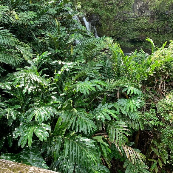 Profile Picture of Margot Vanorden (@margotevano) on Poshmark