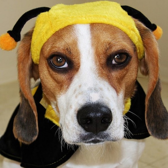 Profile Picture of Jake Deyonker (@jdeyonker15) on Poshmark