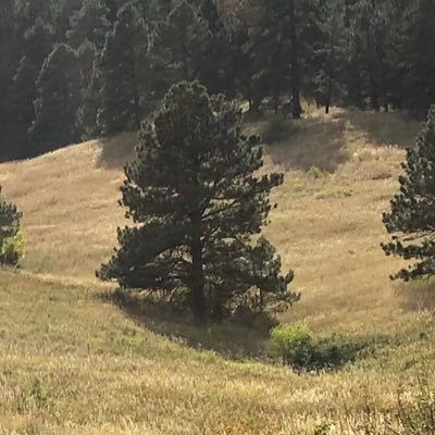 Profile Picture of Patrick Heck (@iamheck) on Twitter