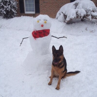 Profile Picture of John Kelly (@cakebread23) on Twitter