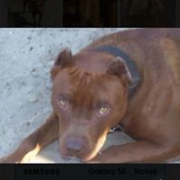 Profile Picture of Andrew Ousley (@andrew-ousley-4) on Quora