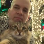 Profile Picture of Gringo Malandro - Joseph Perjes (@gringomalandro_) on Instagram