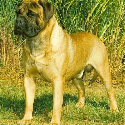 Profile Picture of Jim Jilek (@JimJilek) on Twitter
