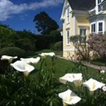 Profile Picture of Pamela Hudson Real Estate (@pamelahudsonrealestate) on Instagram