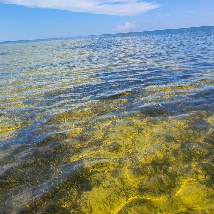 Profile Picture of James Looney (@jameslooney5) on Tiktok