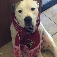 Frankie Mata - Quora Profile Picture of Frankie Mata (@frankie-mata) on Quora