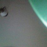 Profile Picture of briannarossetti (@jamesfiore1983) on Instagram