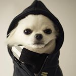 Profile Picture of Ulysses Castillo (@ulykid7) on Instagram