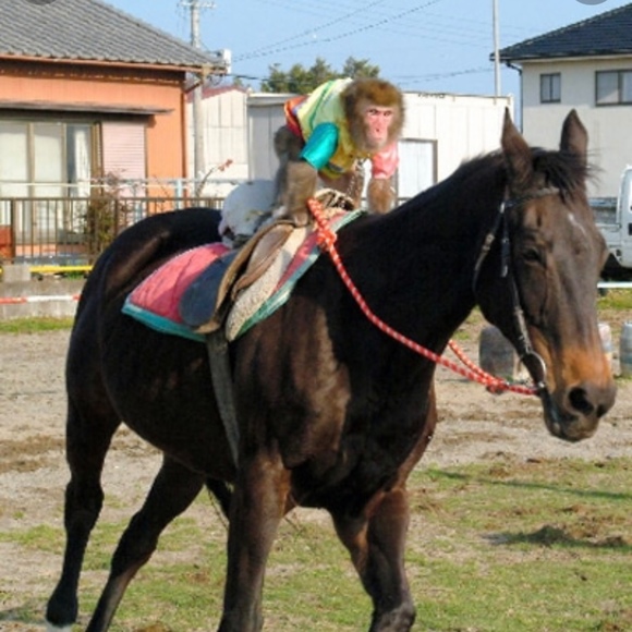 Profile Picture of Elvert Ducusin (@barber550408) on Poshmark