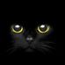 Profile Picture of Robbin Ayers (@robbin.ayers) on Facebook