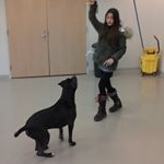 Profile Picture of Lea Conroy (@lea_franklin_dogs) on Instagram