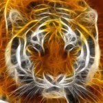 Profile Picture of chriscrohan1127 (@chriscrohan1127) on Instagram