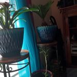 Profile Picture of Keith Brackin (@brackinkeith) on Instagram