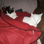 Profile Picture of Jean Romack (@romackjean) on Instagram