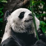 Profile Picture of Sam Bell (@sambell.photography) on Instagram