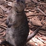 Tracie Cullen - Instagram Profile Picture of Tracie Cullen (@traciecullen1) on Instagram