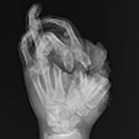 Profile Picture of Joshua Stelter (@joshua-stelter-3) on Quora