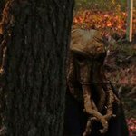 Profile Picture of Michael Koorey (@metaelk) on Instagram