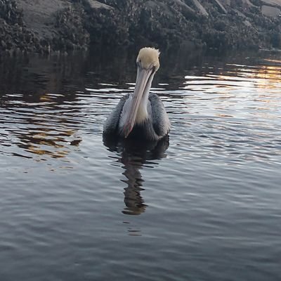 Profile Picture of Travis Terrill (@TerrillTravis) on Twitter