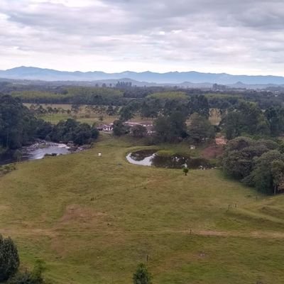 Profile Picture of Jose Vilmar Manchola Toquica (@VilmarToquica) on Twitter