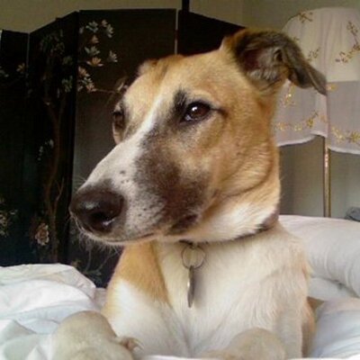 Profile Picture of Ben Leahy (@ParkerLeahy) on Twitter