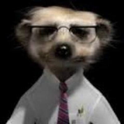 Profile Picture of James Rathbone (@jibs0000) on Twitter