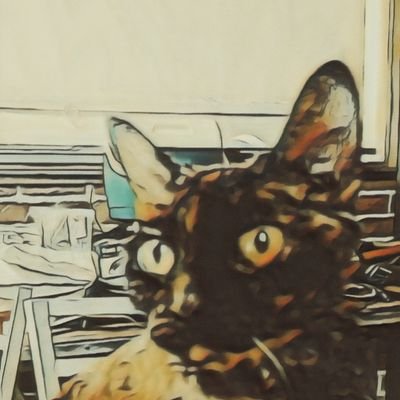 David Petrina - Twitter Profile Picture of David Petrina (@DPetrina63) on Twitter