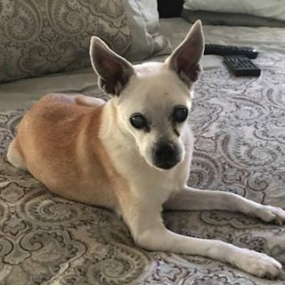 Profile Picture of Mike Alva (@mike.alva.1656) on Facebook