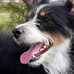 Profile Picture of Tobias Erwin (@Tobias-Erwin) on Facebook