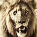 Profile Picture of Trevor Best (@trevorhenry1044) on Pinterest