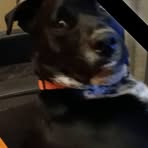 Profile Picture of Magen Kontos (@magen.kontos) on Facebook