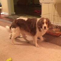 Profile Picture of Daniel Sauve (@daniel-sauve) on Quora