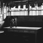 Profile Picture of Frank Ryan's Pub (@frankryansbar) on Instagram