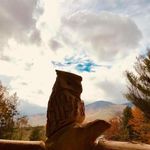 Hope and Travis Holzer - Instagram Profile Picture of Hope and Travis Holzer (@woodlandvacations) on Instagram