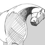 Profile Picture of Jeanette Fothergill (@jeanette.fothergill) on Facebook