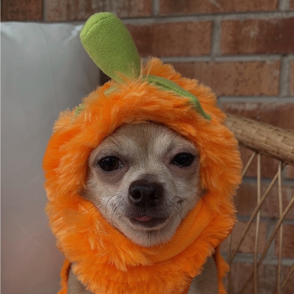 Profile Picture of Sam Huffman (@sammhuffman) on Poshmark