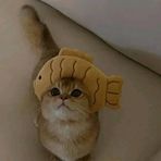 Profile Picture of Kevin C Vela (@Kevin-C-Vela) on Facebook