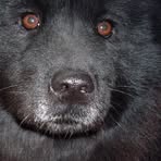 Profile Picture of Alexandru Essig (@alexandru.essig) on Facebook